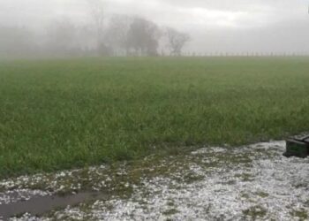 Se esperan lluvias y tormentas este viernes y un fin de semana cambiante